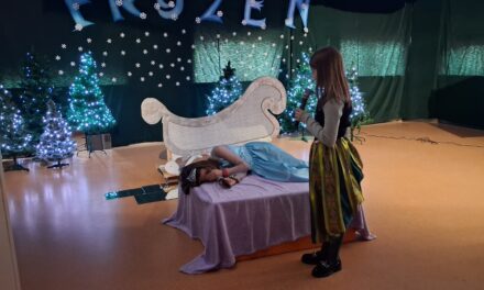 Musical „Kraina Lodu” oraz zbiórka charytatywna na rzecz Kotlandii.